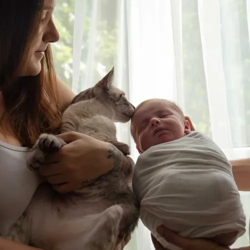 Sesión de fotografía newborn a domicilio en Zaragoza — foto 4